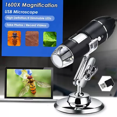 Buy 8LED Handheld USB Digital Microscope 1600X Magnifier Camera 1080P W/ Stand P7F4 • 15.37$