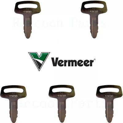 Buy 5 Vermeer Chipper Ignition Keys And Fits Grasshopper Mower Lay-Mor Sweepmaster • 12$