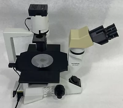 Buy Olympus CKX41 Inverted Phase Contrast Microscope GFP Fluorescence  • 2,499.99$