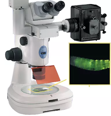 Buy Nikon EpiFluorescent Stereo Microscope SMZ1500 Set With Extras • 8,900$