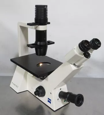 Buy T190038 Carl Zeiss Axiovert 40C Inverted Microscope W/ 4 Objectives • 500$