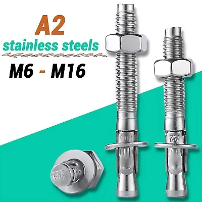 Buy Concrete Wedge Anchor Stainless Steel Expansion Anchors Includes Nuts & Washers • 2.25$