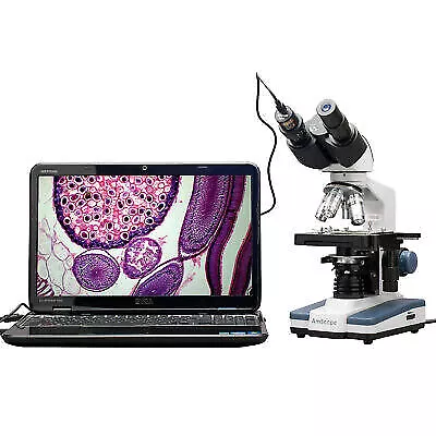Buy AmScope 40X-2500X LED Digital Binocular Compound Microscope,3D Stage, 5MP Camera • 326.59$