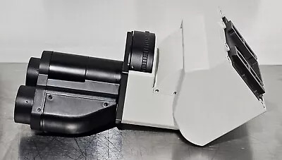 Buy Nikon T-TERG Tilting Ergonomic Binocular For Eclipse TE2000 Inverted Microscope  • 900$