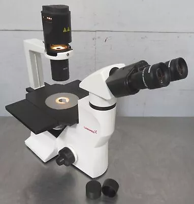 Buy C189956 Labomed TCM400 Inverted Microscope, 4X 10X 20X Objectives, W10x/22 Eye • 300$